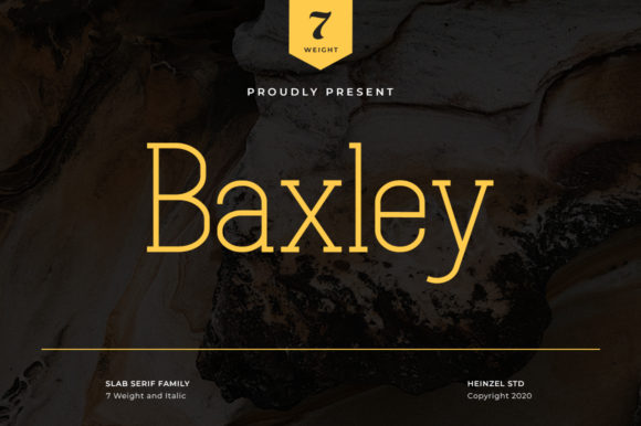 Baxley Font for Professional Branding