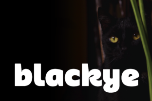 Blackye: A Bold Sans Serif for Modern Branding