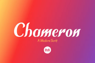 Chameron Serif Font for Bold Digital Branding