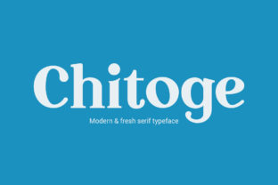Chitoge: A Bold Serif Font for Modern Web Design