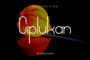 Ciplukan: A Modern Sans Serif Font for Campaign Design