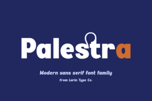 How Palestra Transformed My Campaign Visuals