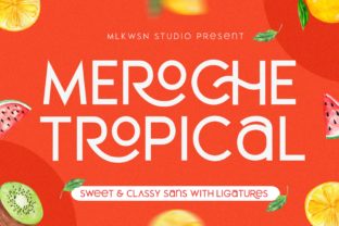 Make Your Brand Stand Out with the Meroche Font