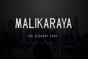 Malikaraya: A Modern Sans Serif Font for Editorial Design