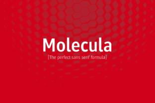 Molecula: A Grotesque Sans Serif for Bold Web Design