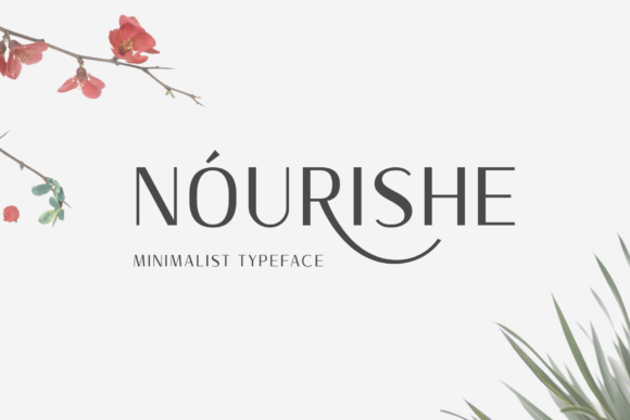 Nourishe Font Review for Modern Branding