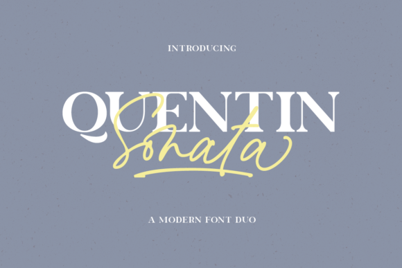 Quentin Sonata: A Modern Serif Font for Brand Campaigns