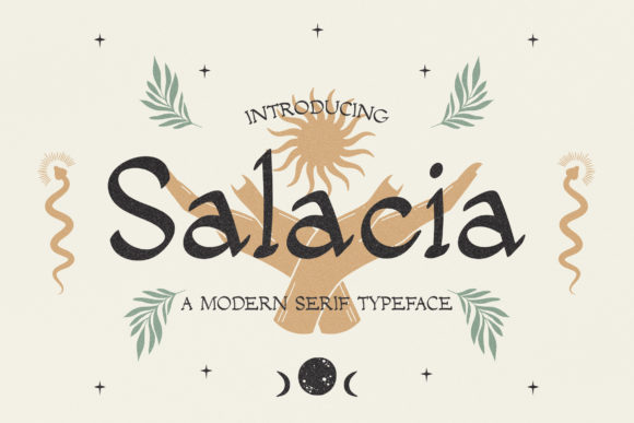 Salacia: A Modern Serif Font for Handmade Creations